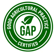 Gap-certificate